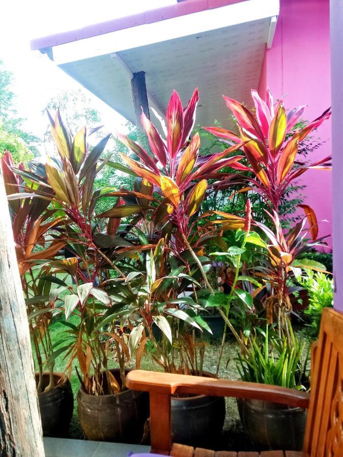 Suwantana lanta hous Hotel Koh Lanta Bagian luar foto
